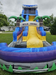 wild20things202 1712250520 22ft Wild things Water Slide