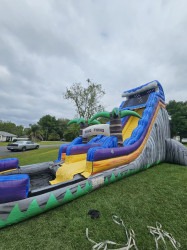 wild20things203 1712250520 22ft Wild things Water Slide