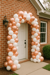 cd8a1ee0 e7c7 48bb 9fe7 93825dcef0c3 1746572848 Balloon Arch